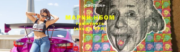 гашик Елабуга