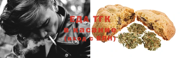 шишки Елизово