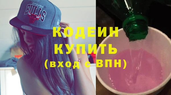 шишки Елизово