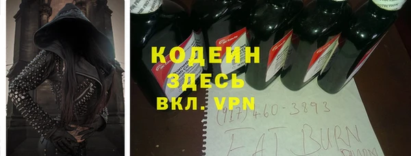 шишки Елизово