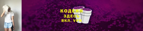шишки Елизово