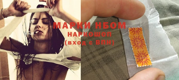 шишки Елизово