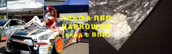 шишки Елизово