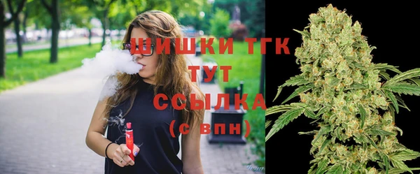 гашик Елабуга
