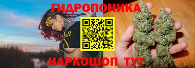ECSTASY Заводоуковск
