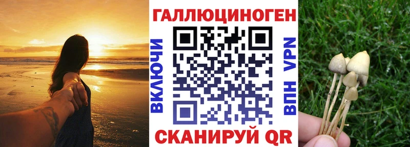 Галлюциногенные грибы Psilocybe  Новый Уренгой 