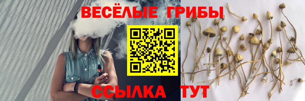 Псилоцибиновые грибы ЛСД  Галлюциногенные грибы прущие грибы  Новый Уренгой  Вход с VPN 