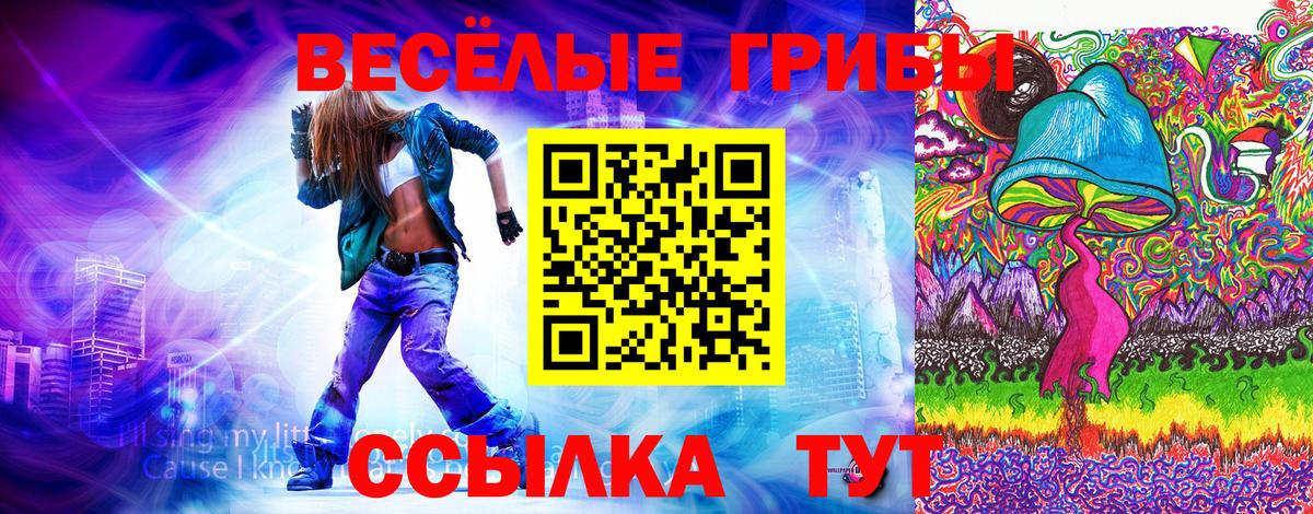 Псилоцибиновые грибы Psilocybe Новый Уренгой