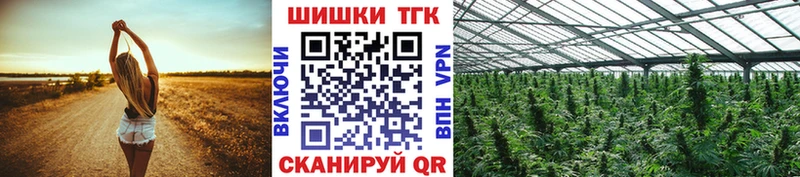 Шишки марихуана планчик  как найти наркотики  Новый Уренгой 