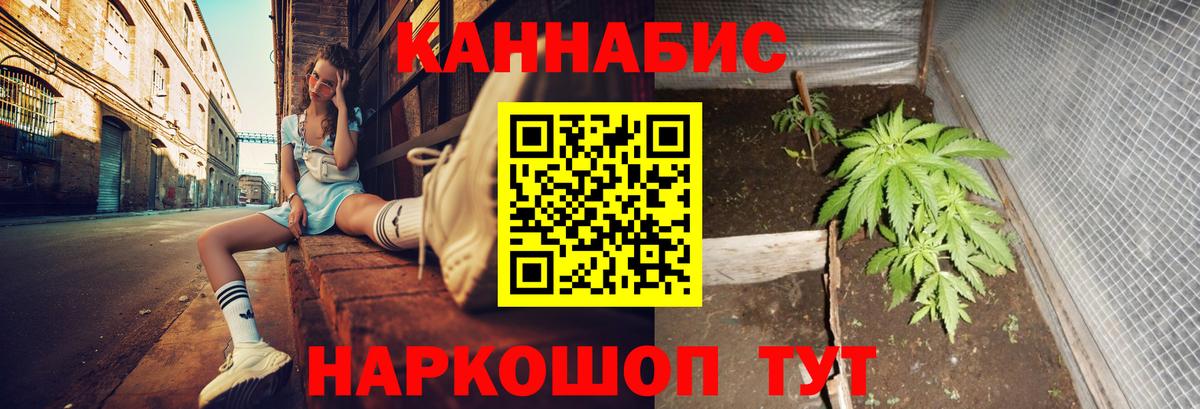 Конопля планчик  Каннабис THC 21%  Новый Уренгой  Бошки марихуана конопля  Шишки марихуана сатива  Вход с VPN 